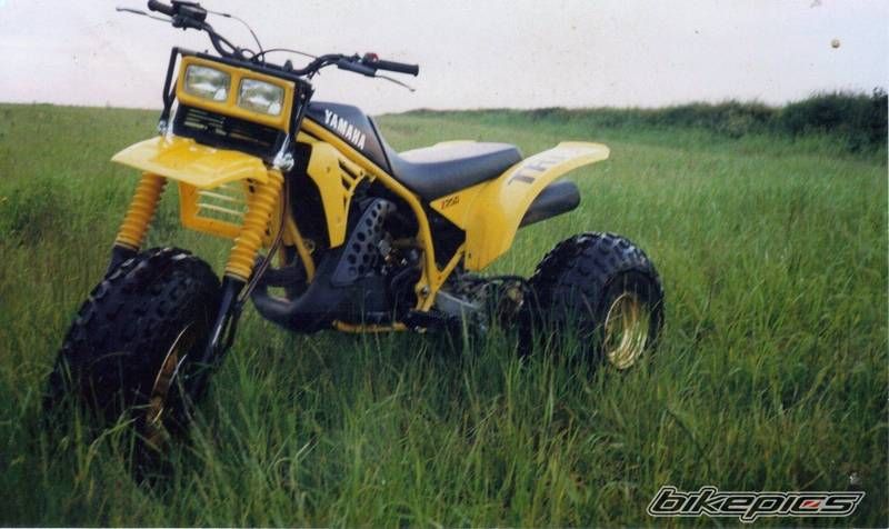 Photo 1899200