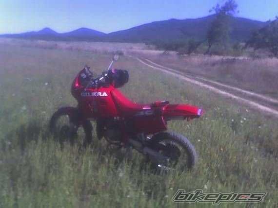 Photo 1899361