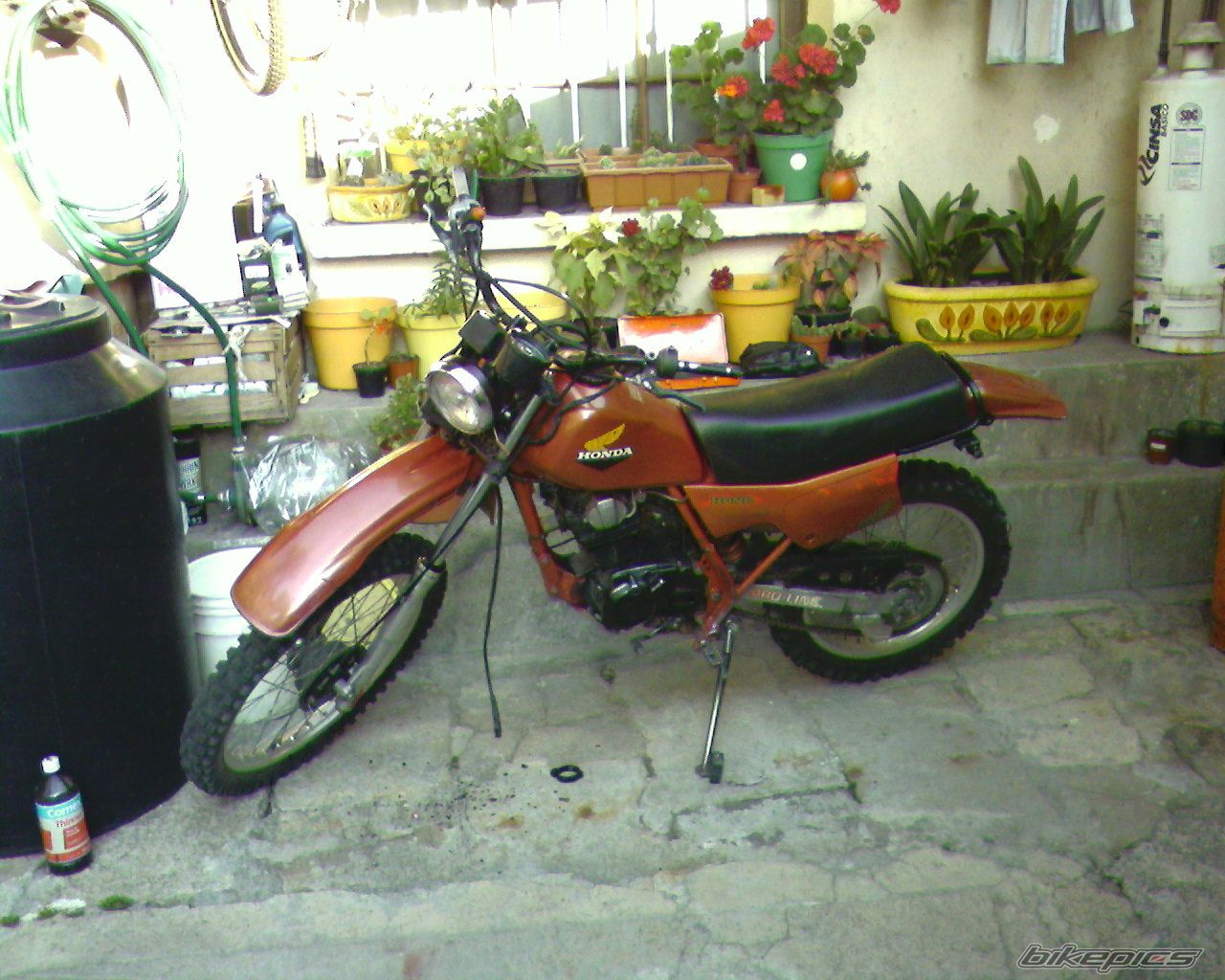 Bike Photo 1899387