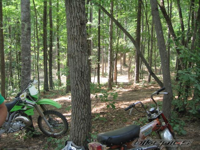 Photo 1899633