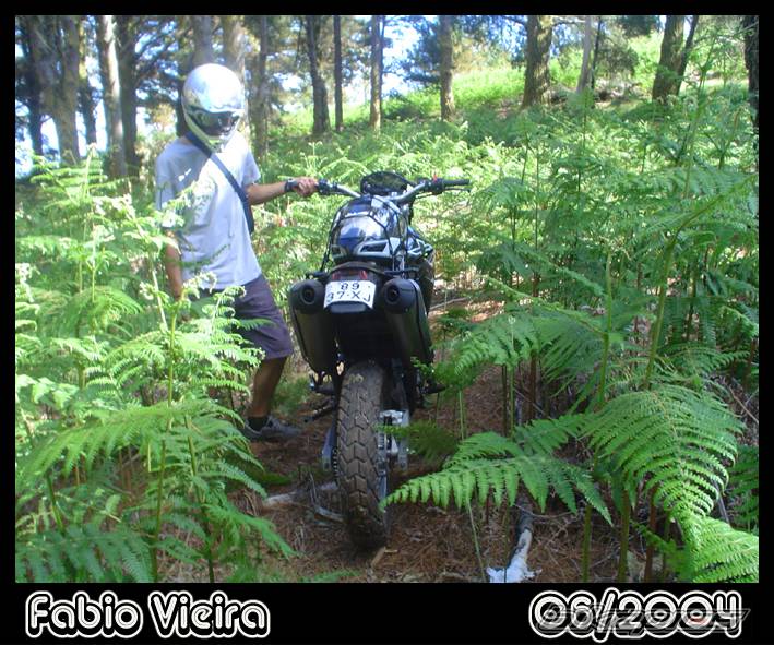 Photo 189984