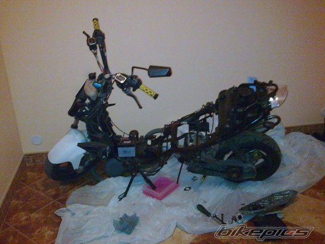 Photo 1899938