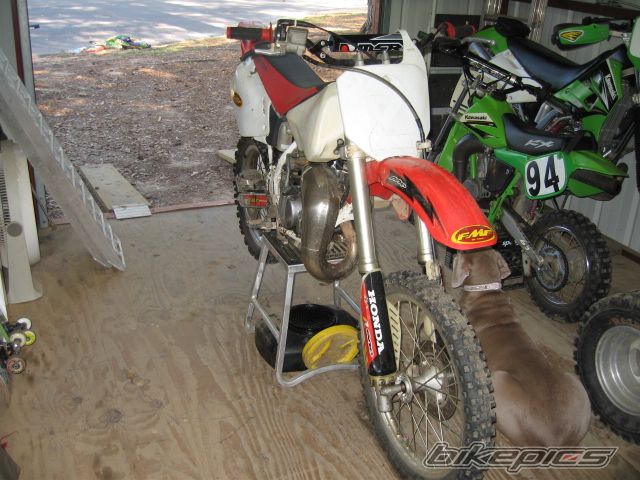 Photo 1900212