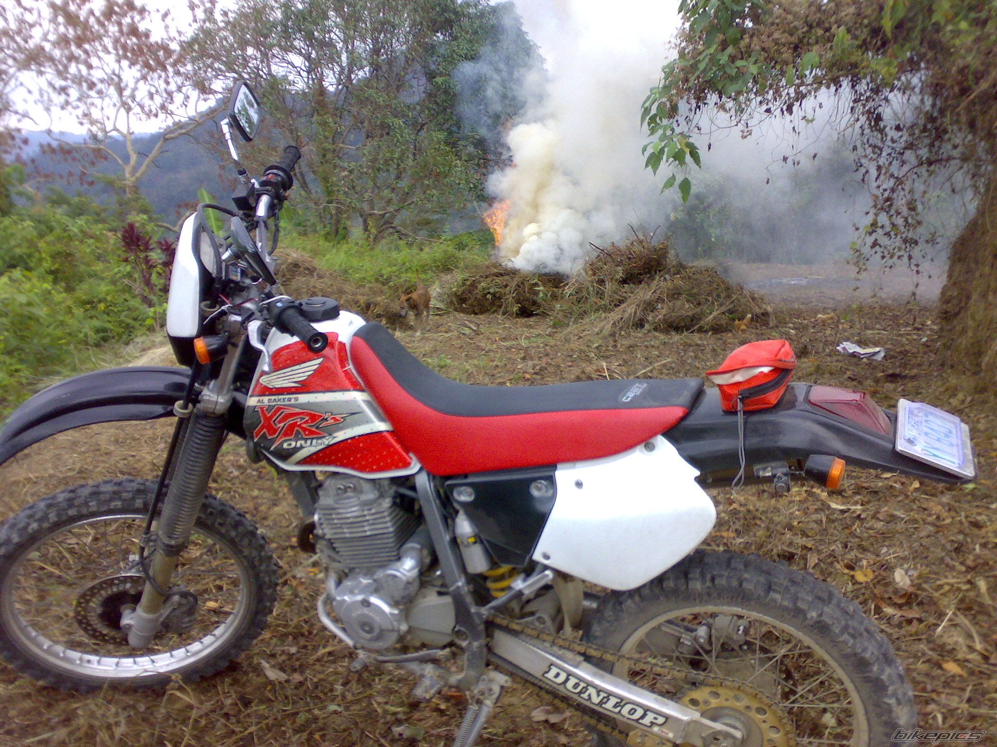 Bike Photo 1900582