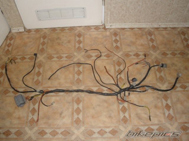 Photo 1900628