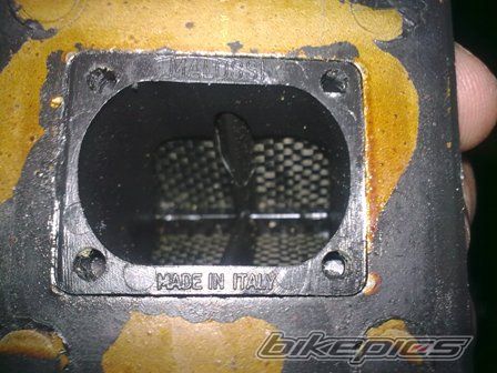 Photo 1900899
