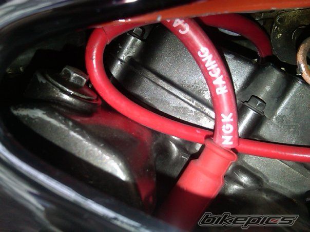 Photo 1900954