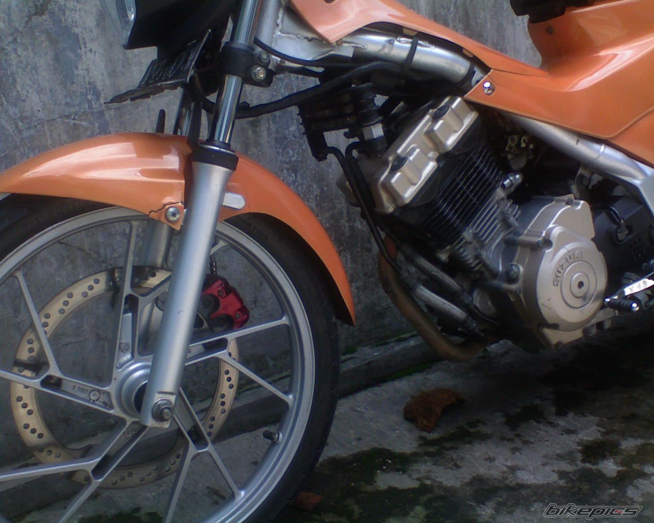 Bike Photo 1901229