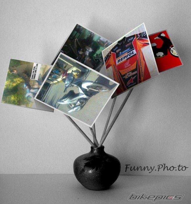 Bike Photo 1901296