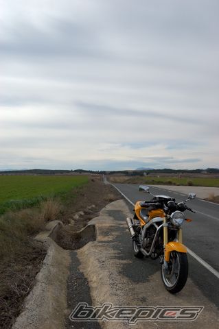 Photo 1901889