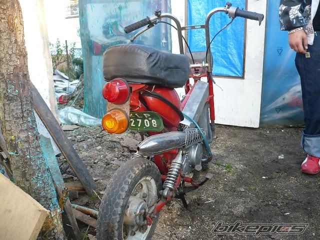 Photo 1902135