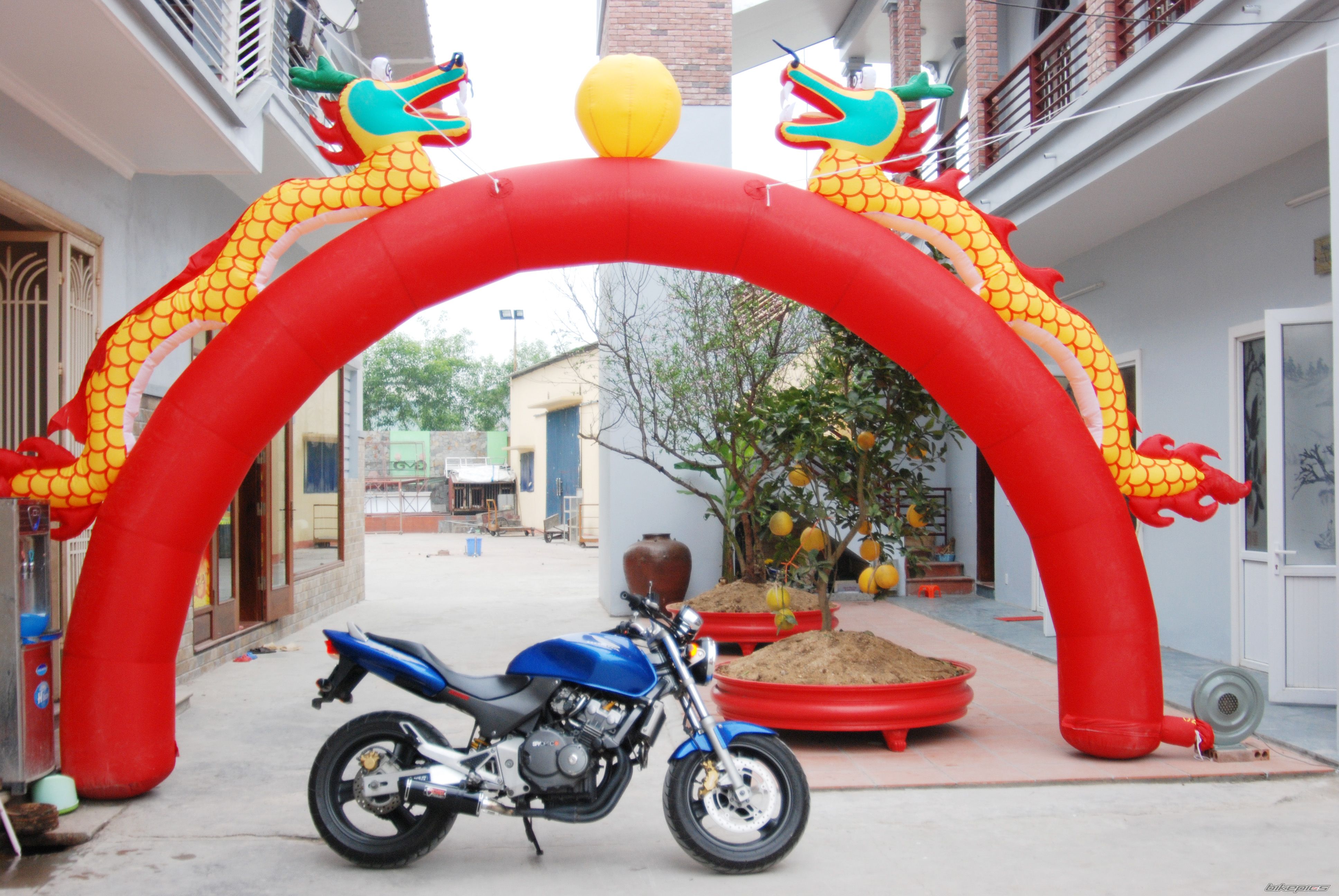 Bike Photo 1902286