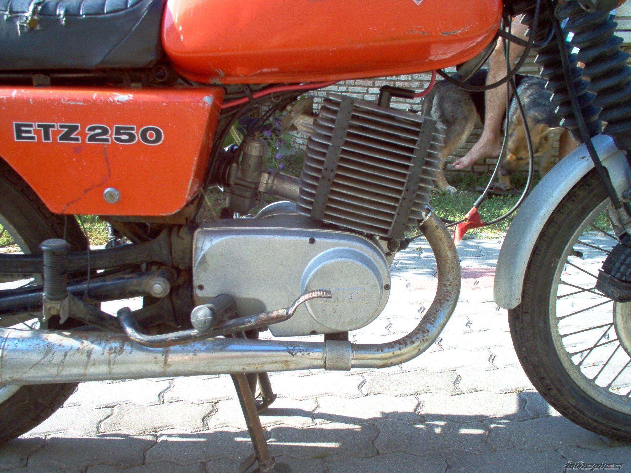 Bike Photo 1902559