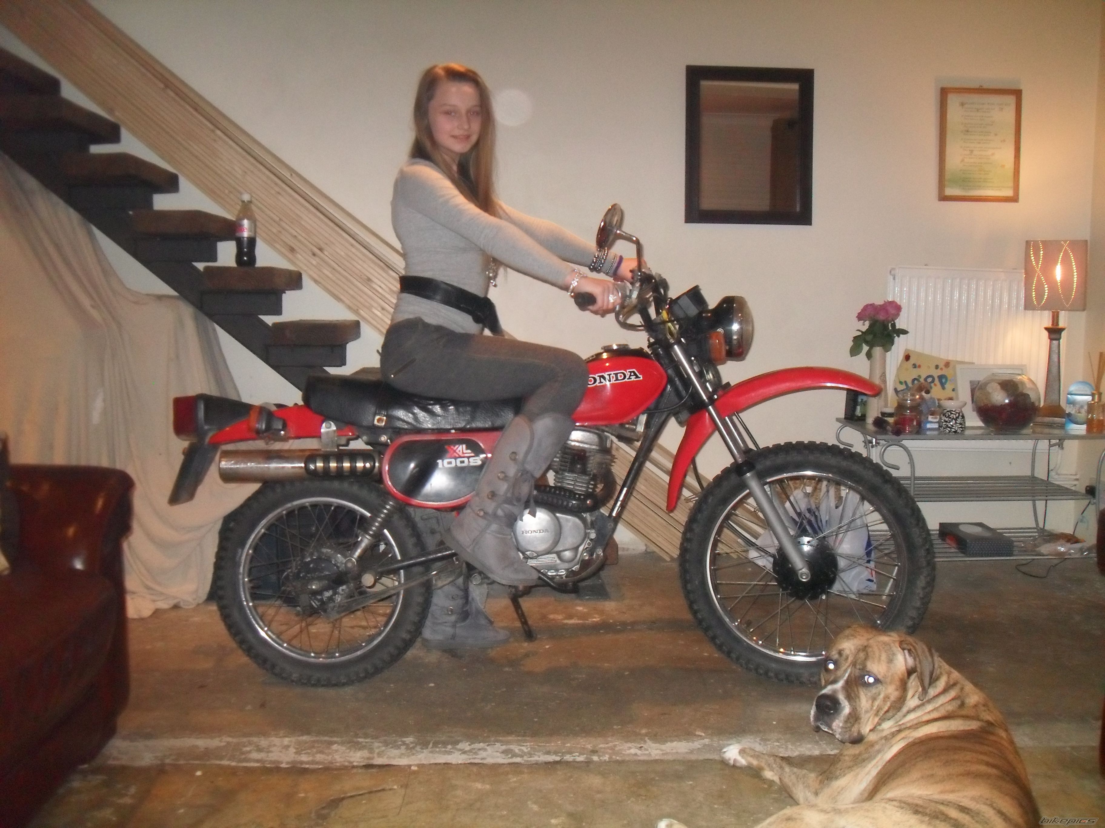 Bike Photo 1902658