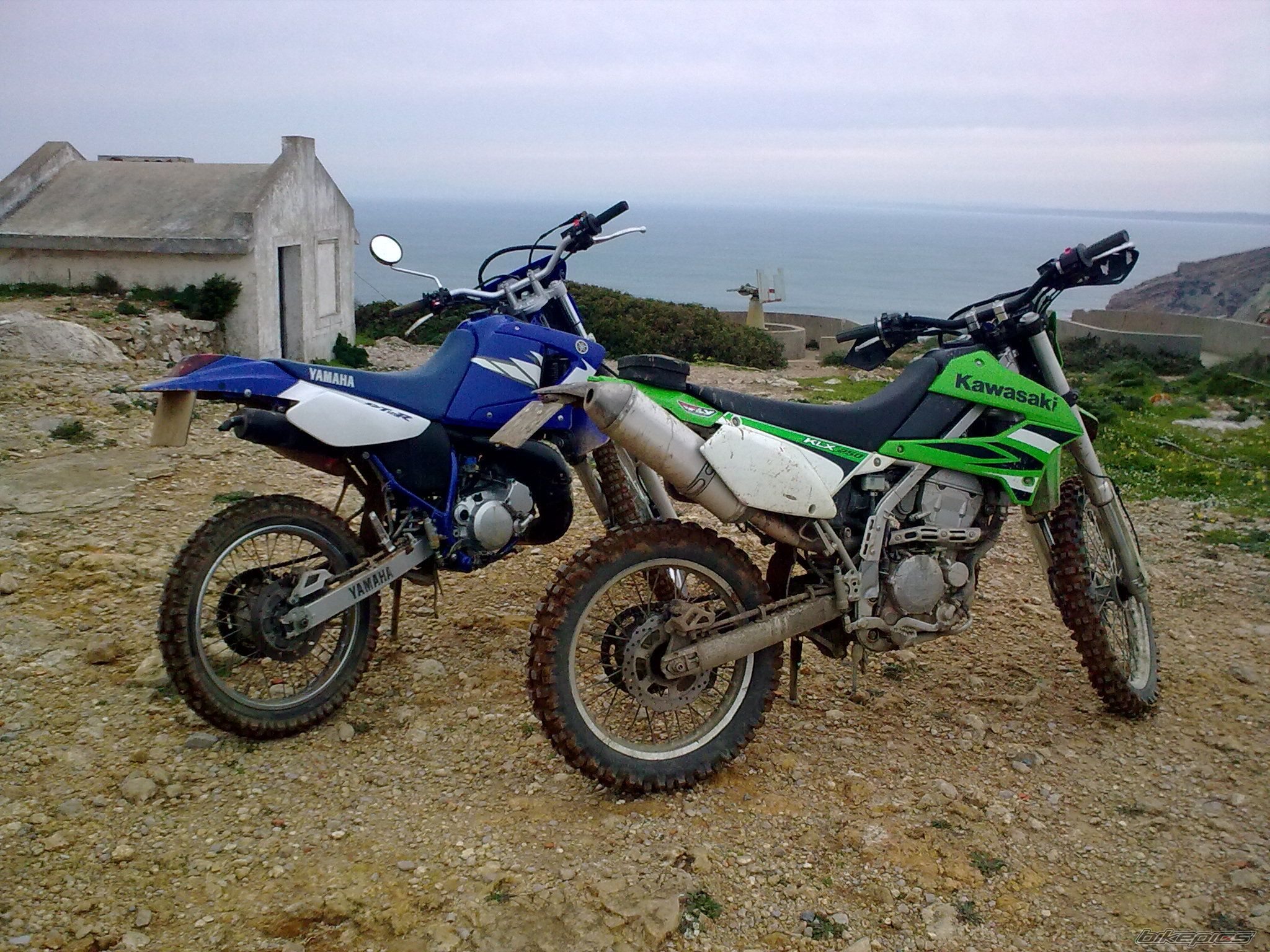 Bike Photo 1903028