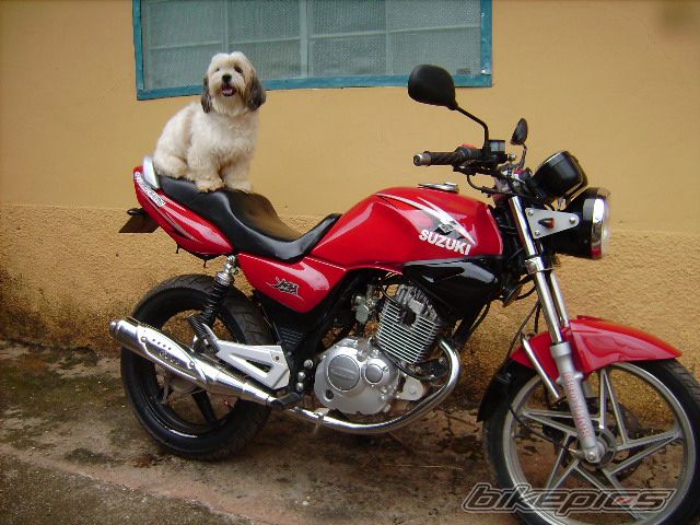 Bike Photo 1903631