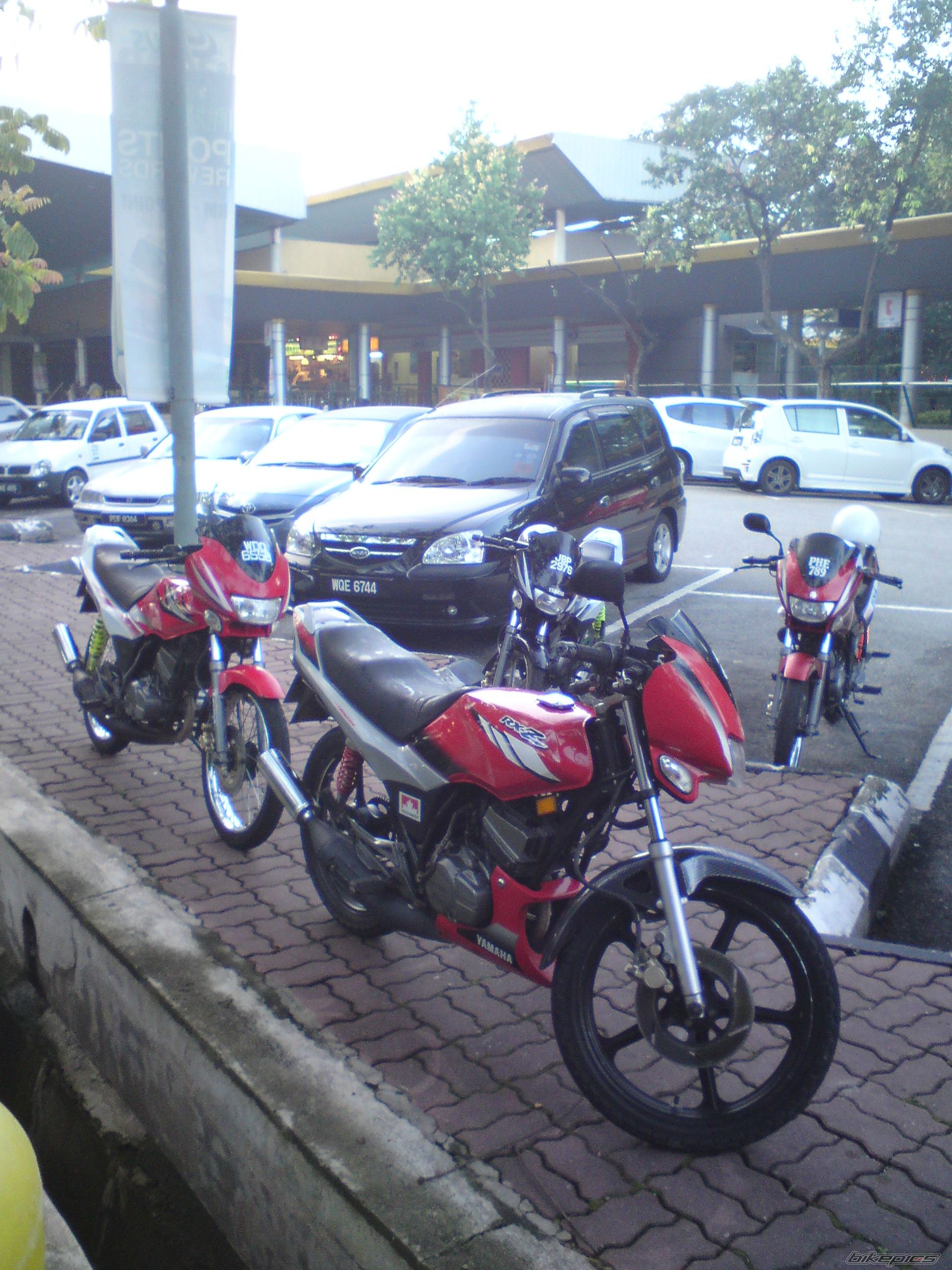 Photo 1903694