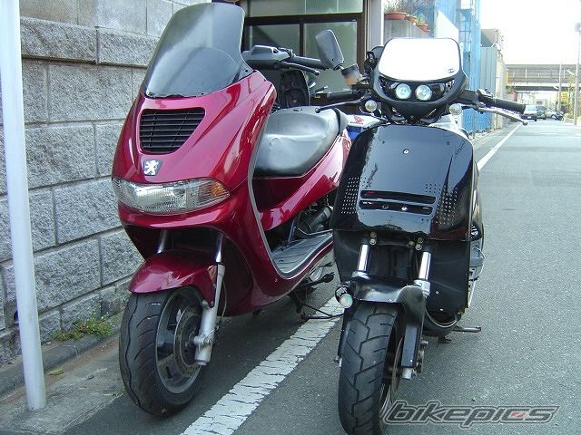 Photo 1904001