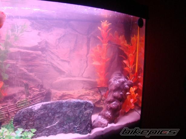 Photo 1904338