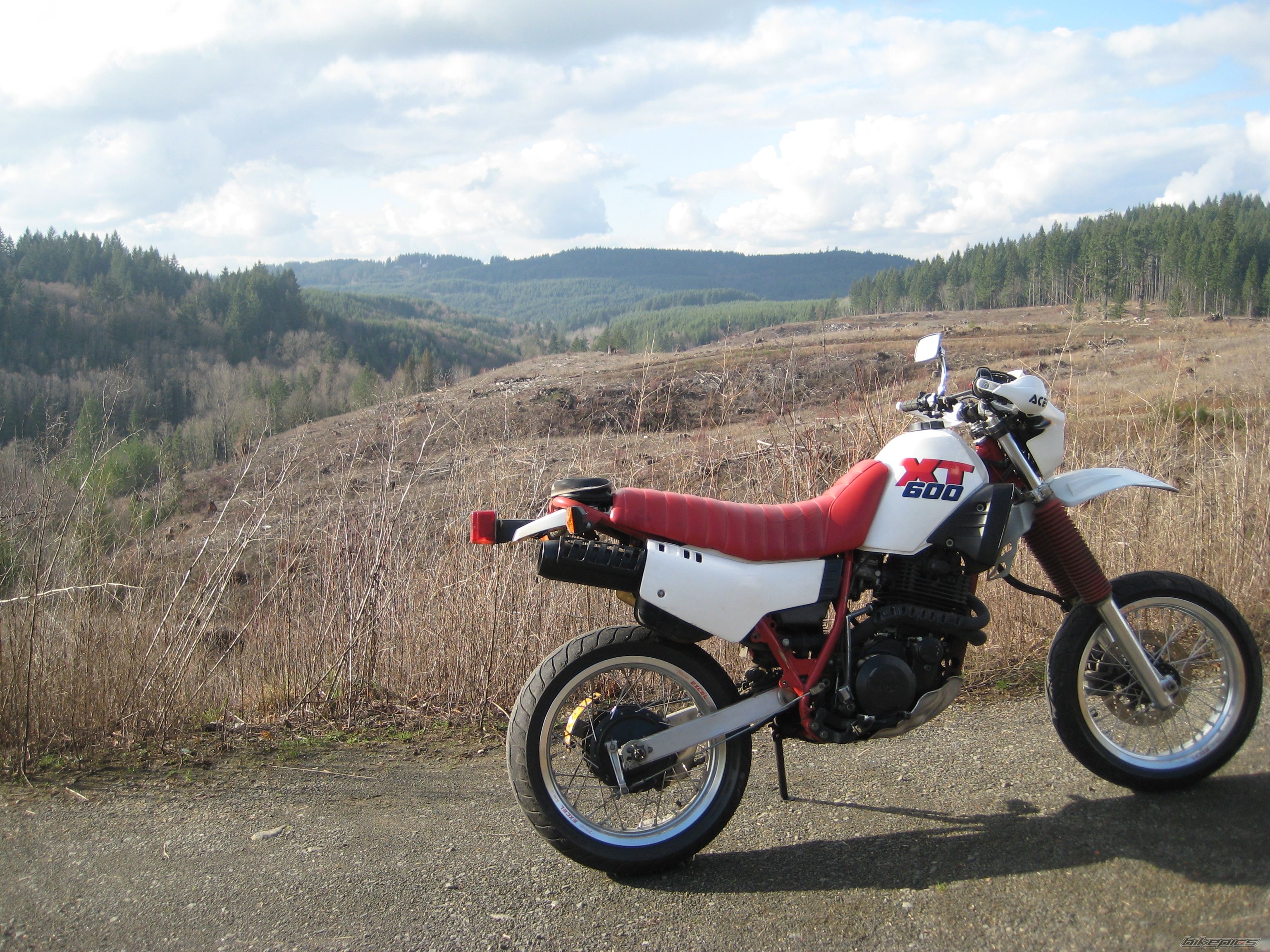 Bike Photo 1904364