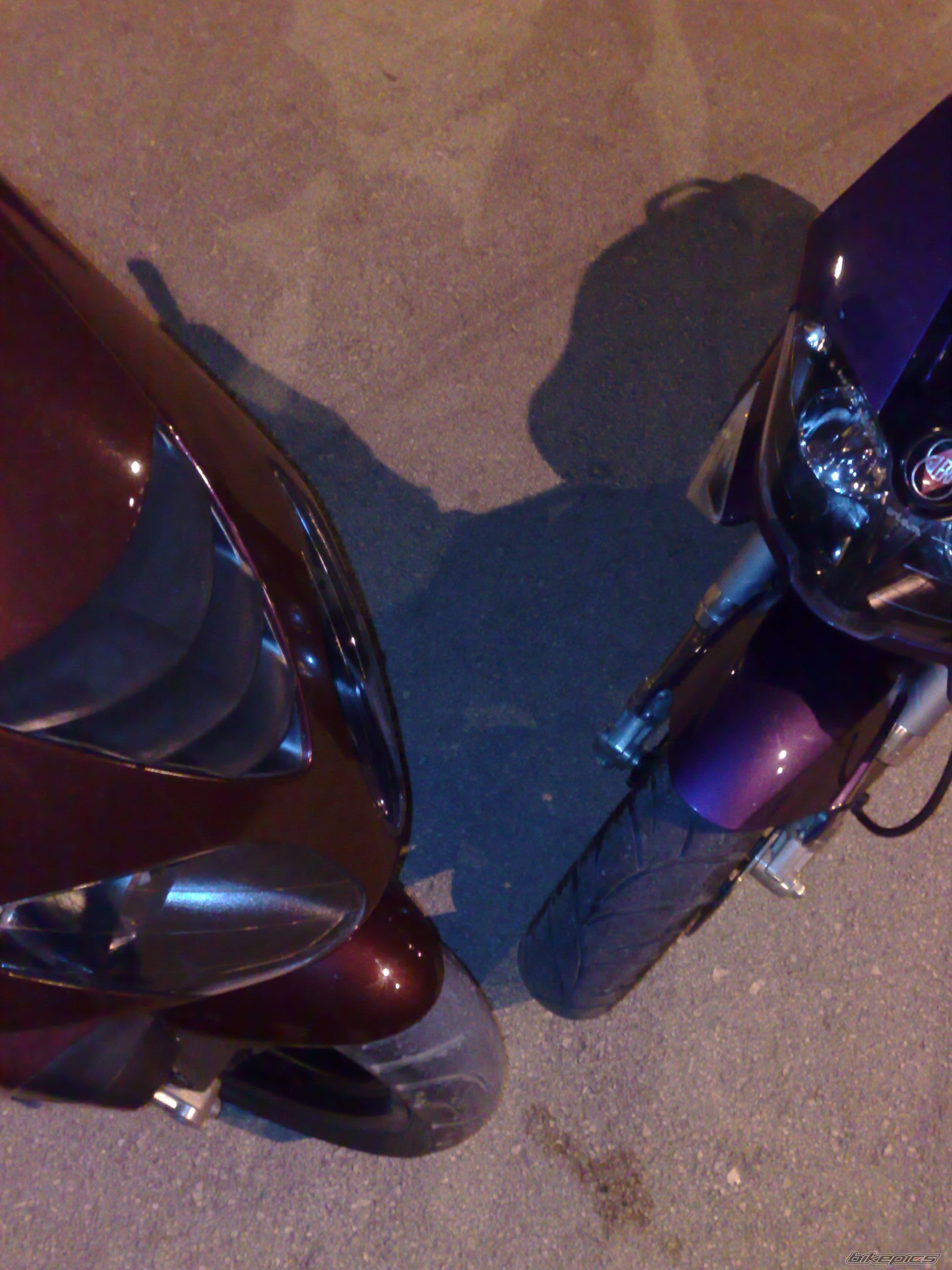Photo 1904376