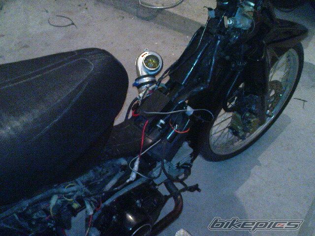 Photo 1904765