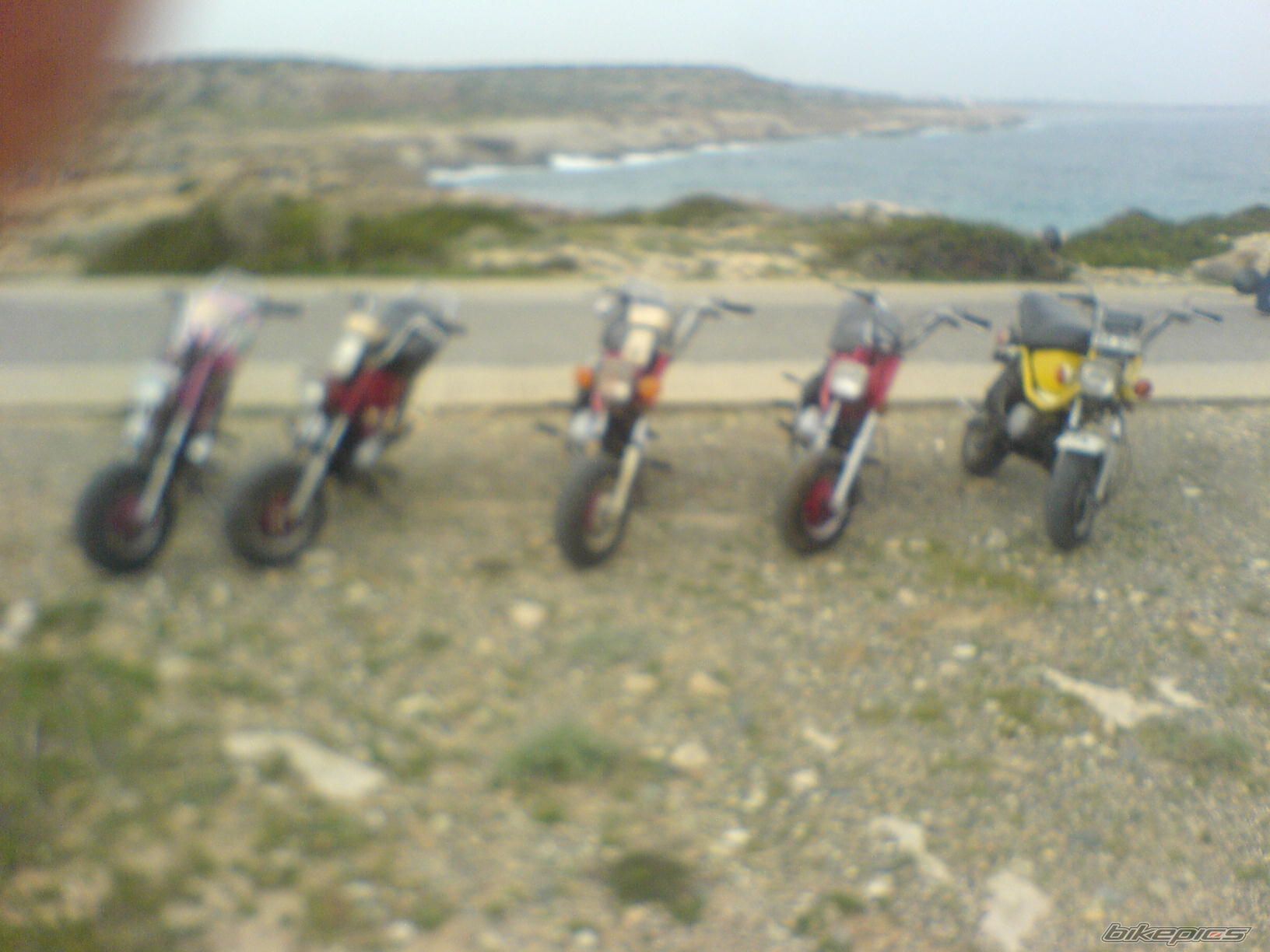 Photo 1905015