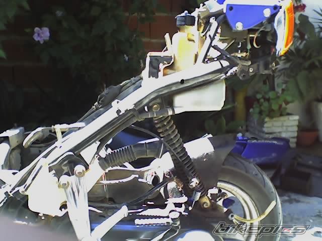 Bike Photo 1905040