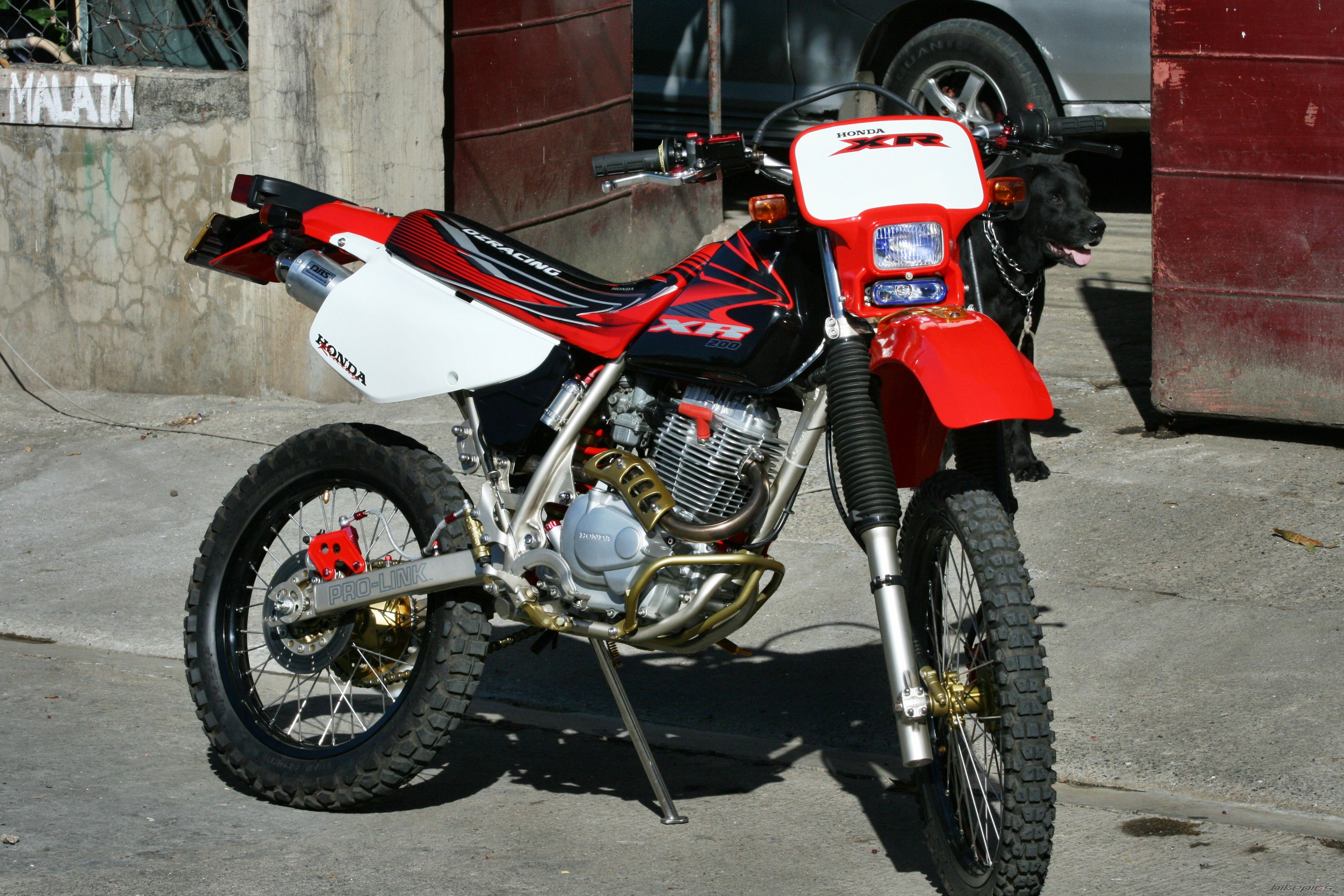 Bike Photo 1906006