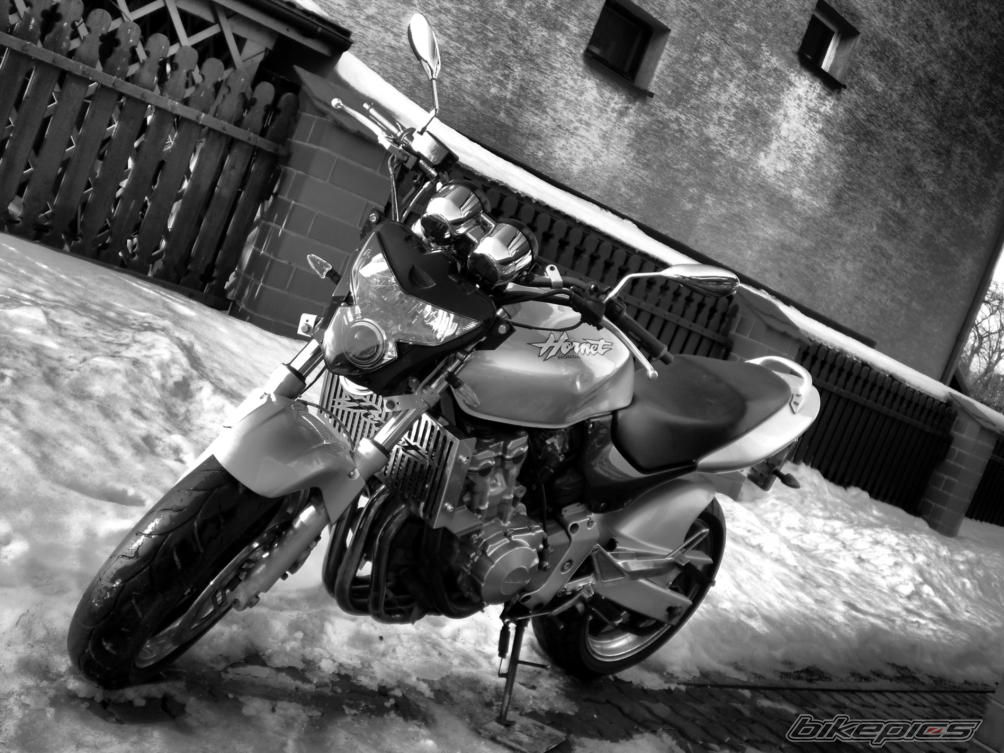 Bike Photo 1906271