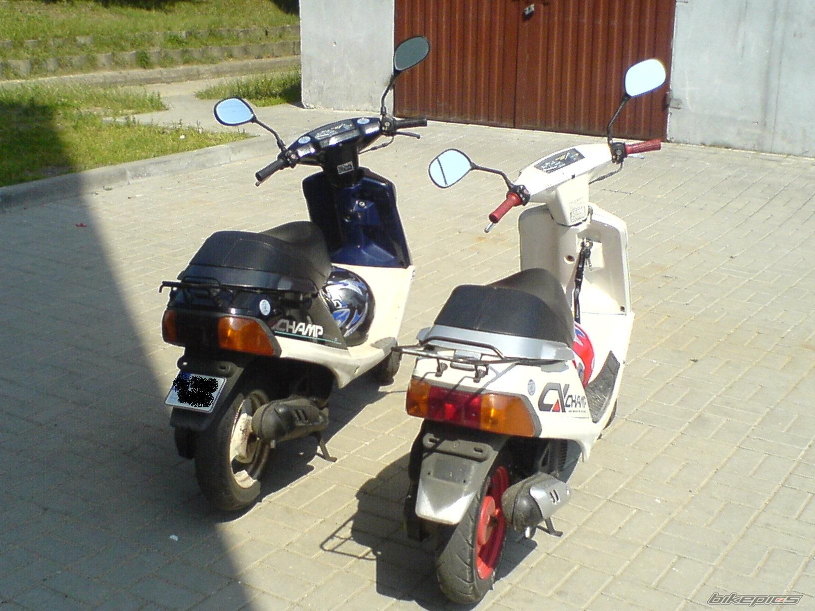 Photo 1906471