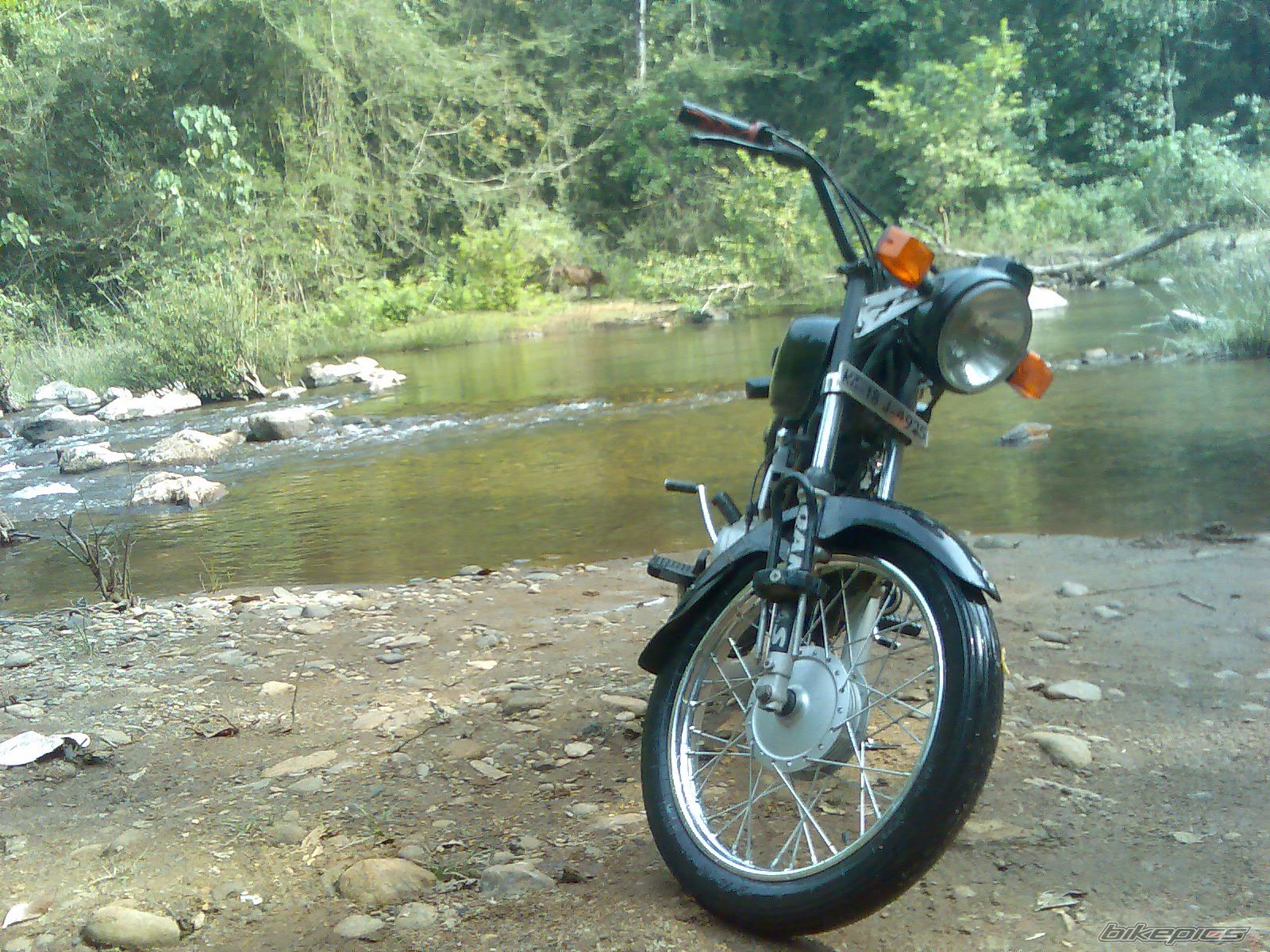 Photo 1906766