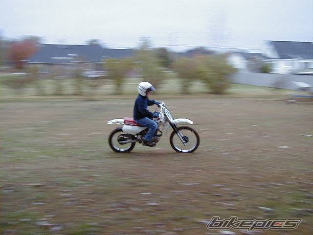 Photo 190747