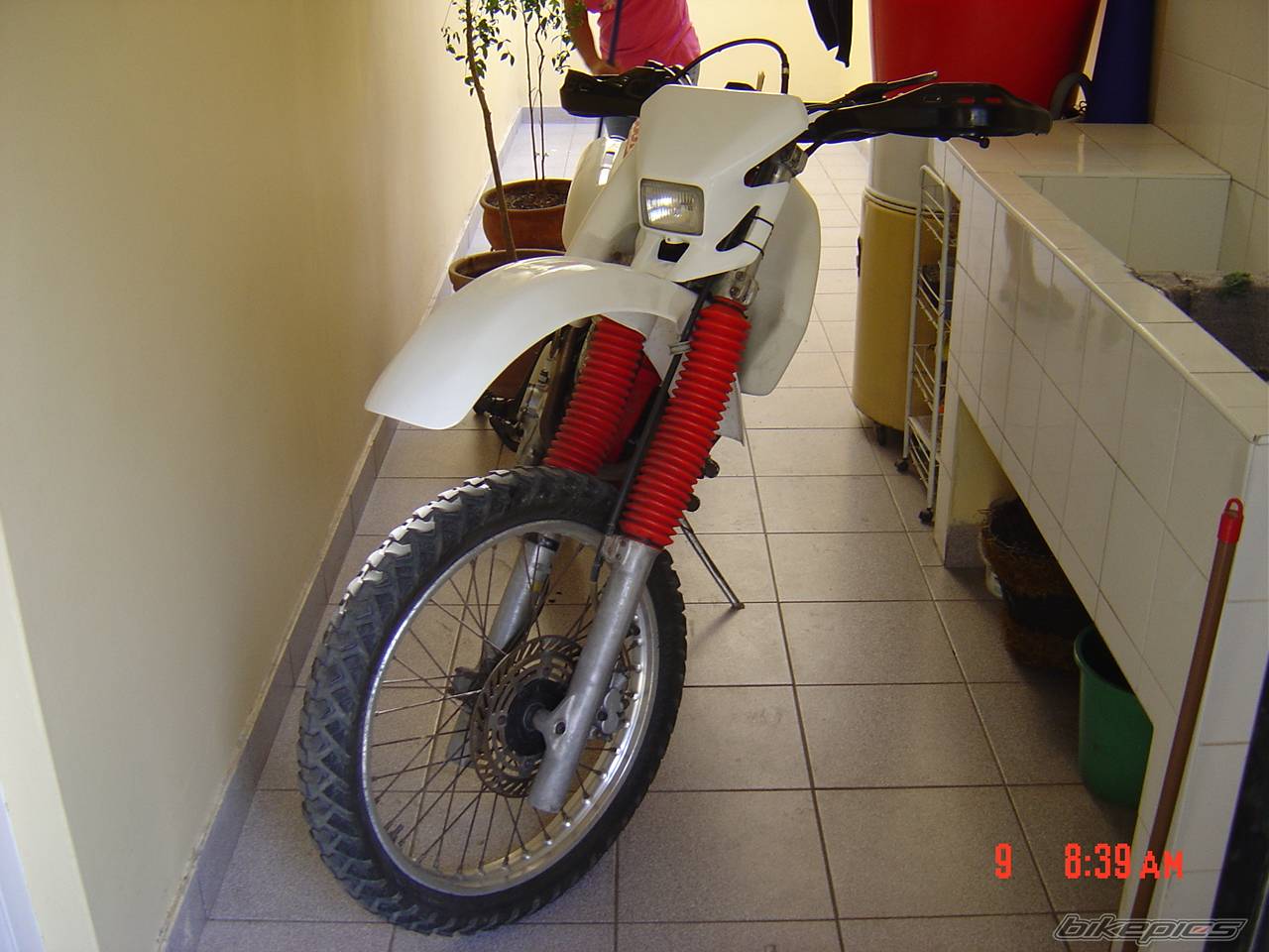 Photo 190776