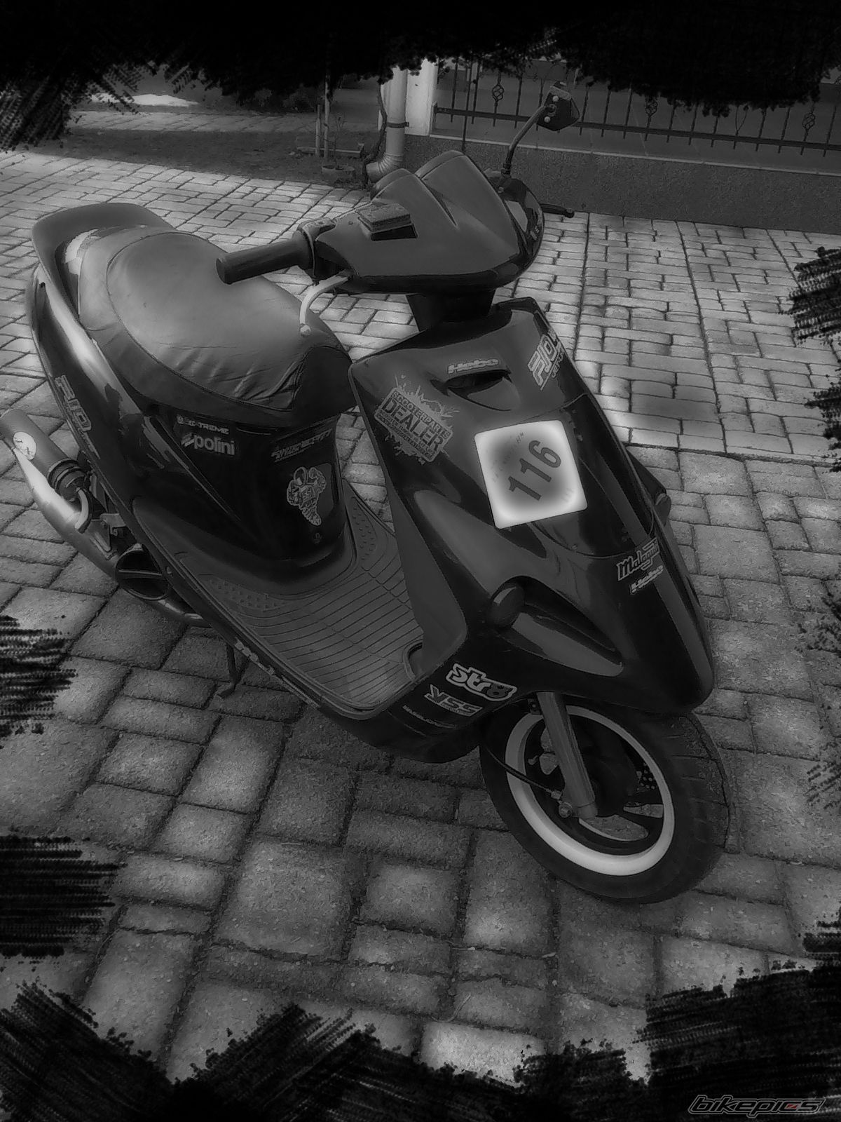 Photo 1908409
