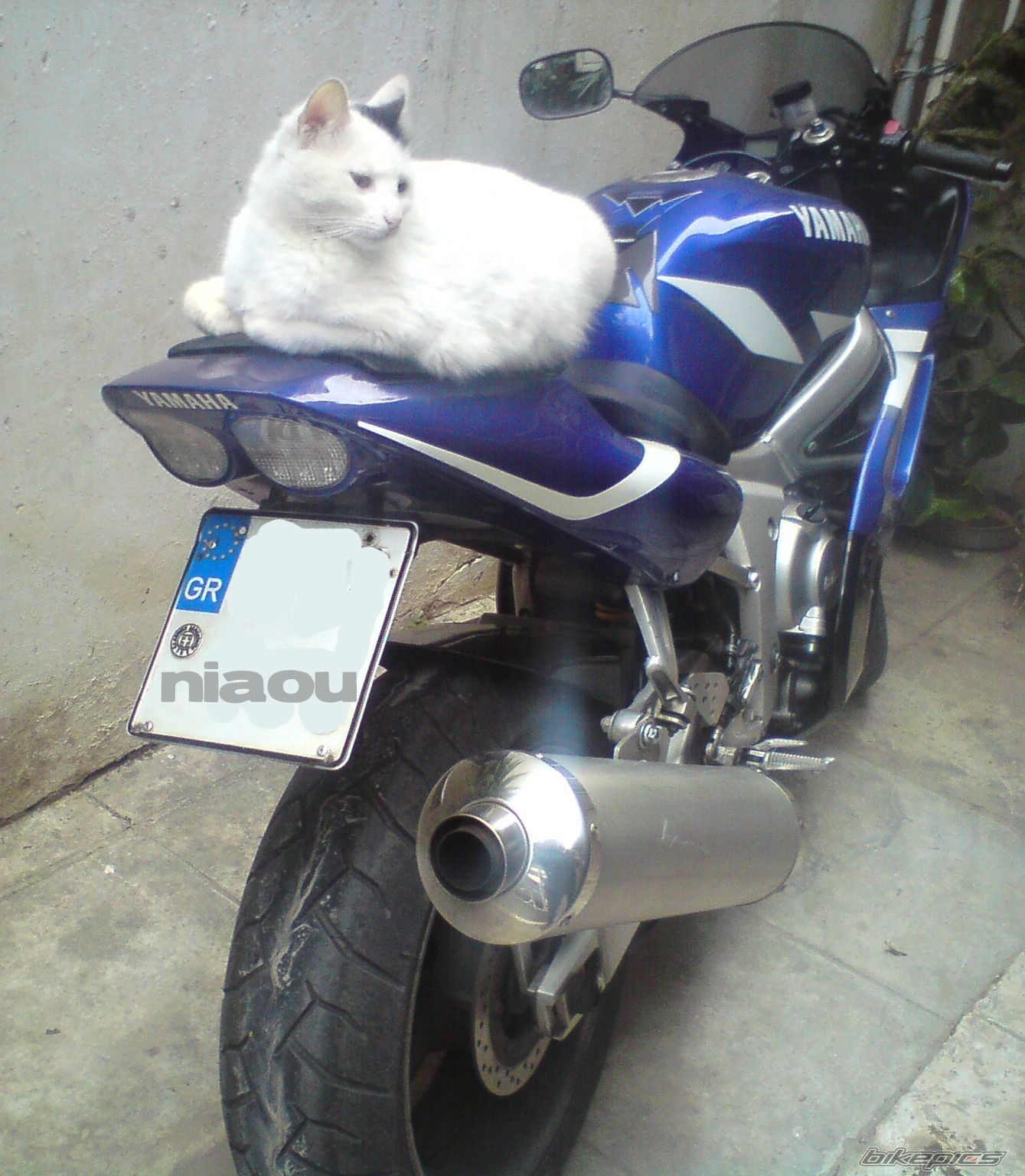 Bike Photo 1908807