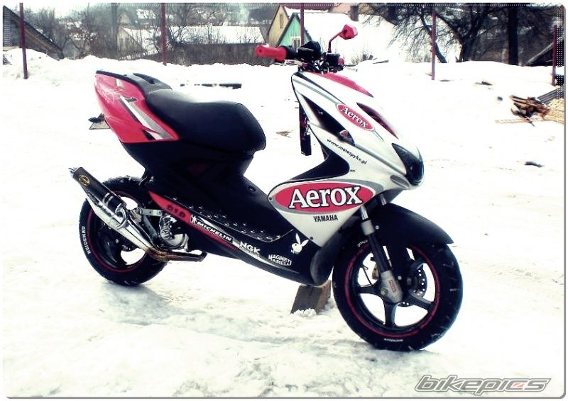 Bike Photo 1909076
