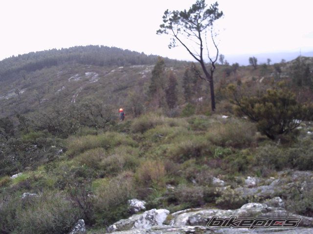 Photo 1909201