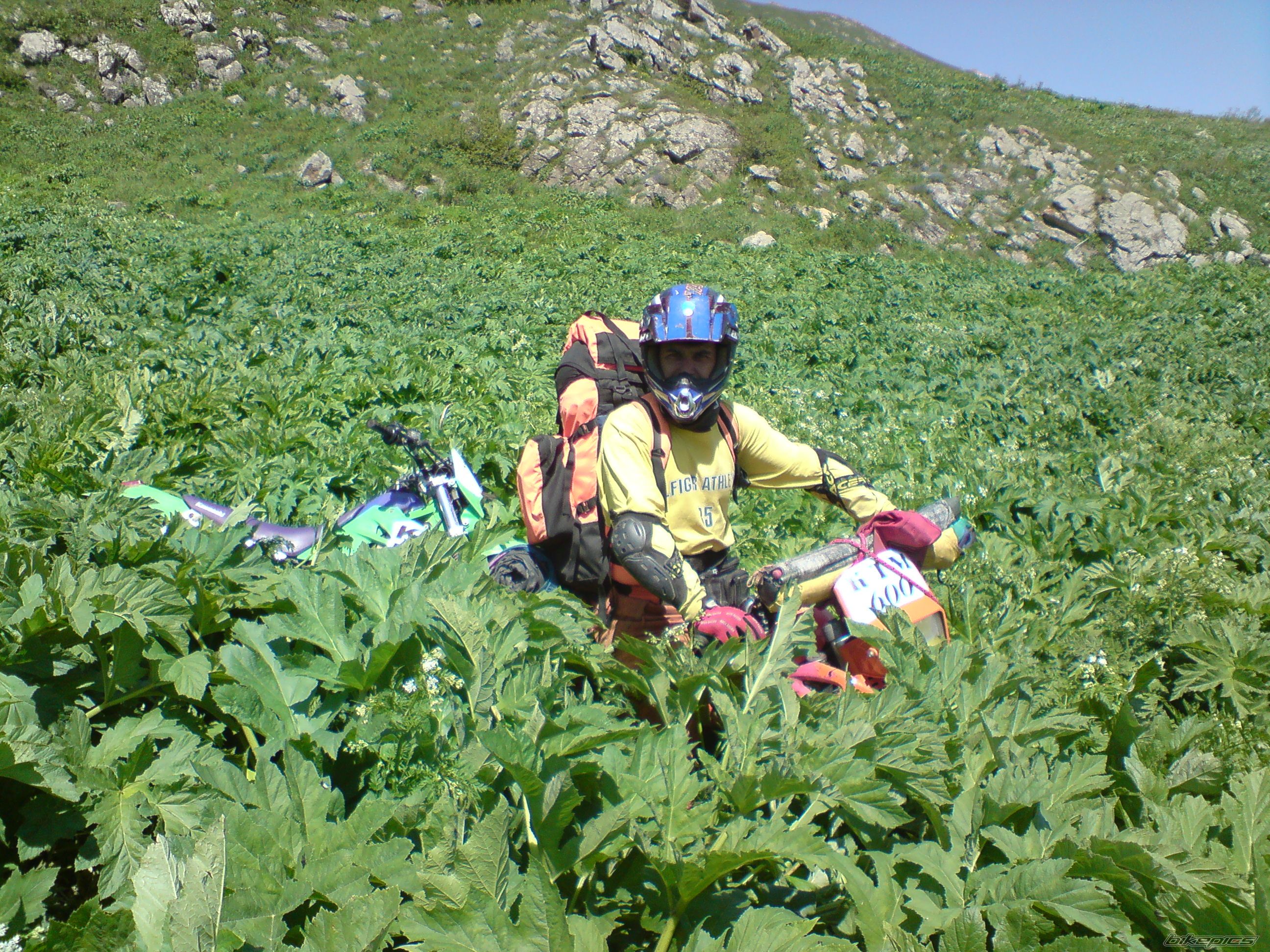 Bike Photo 1909381