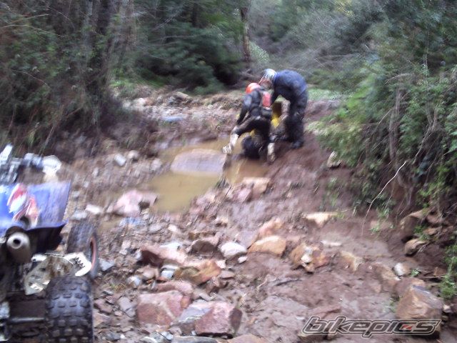 Bike Photo 1909415