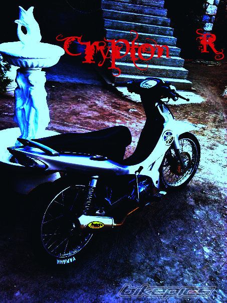 Photo 1910368