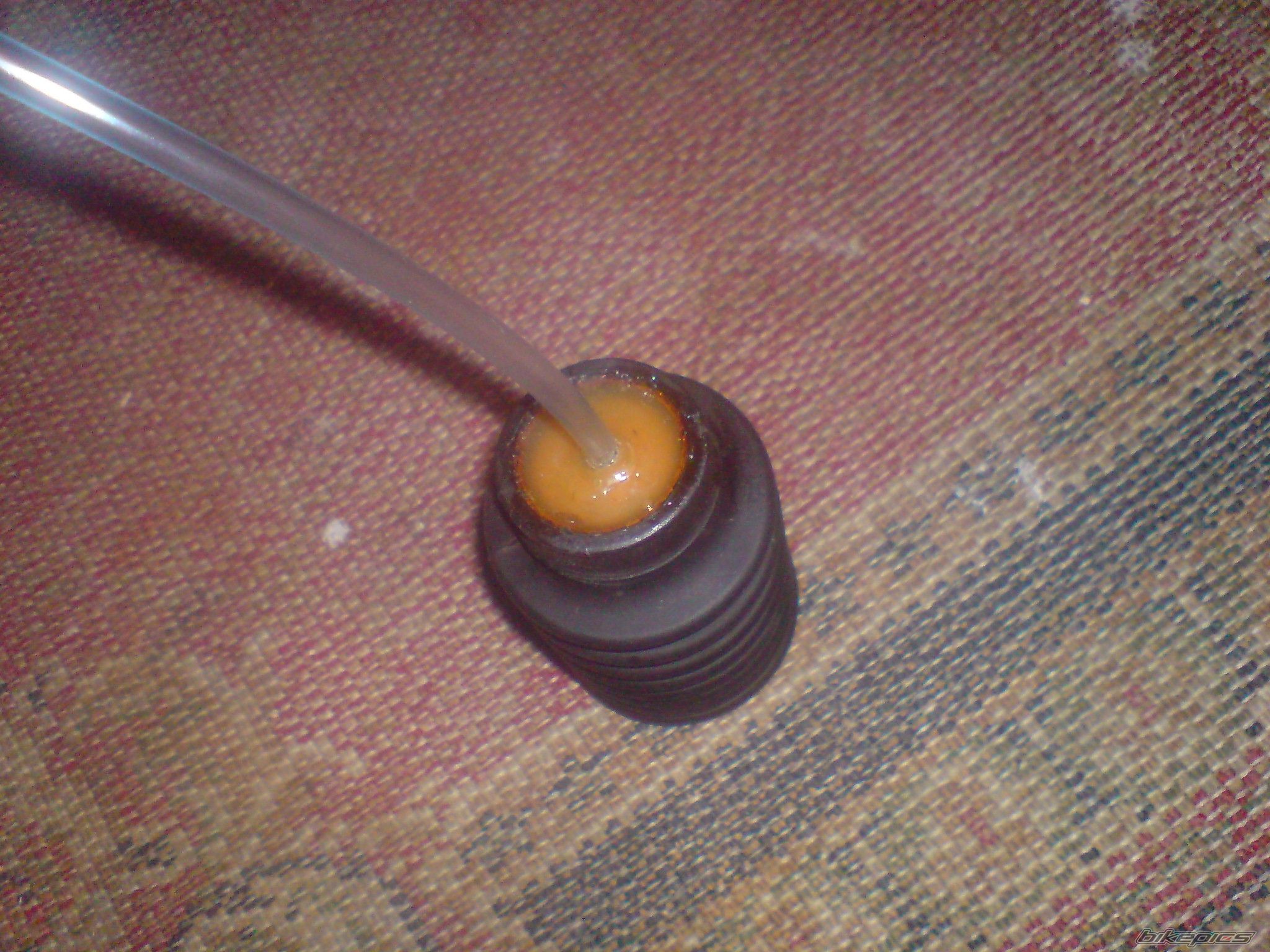 Photo 1911486