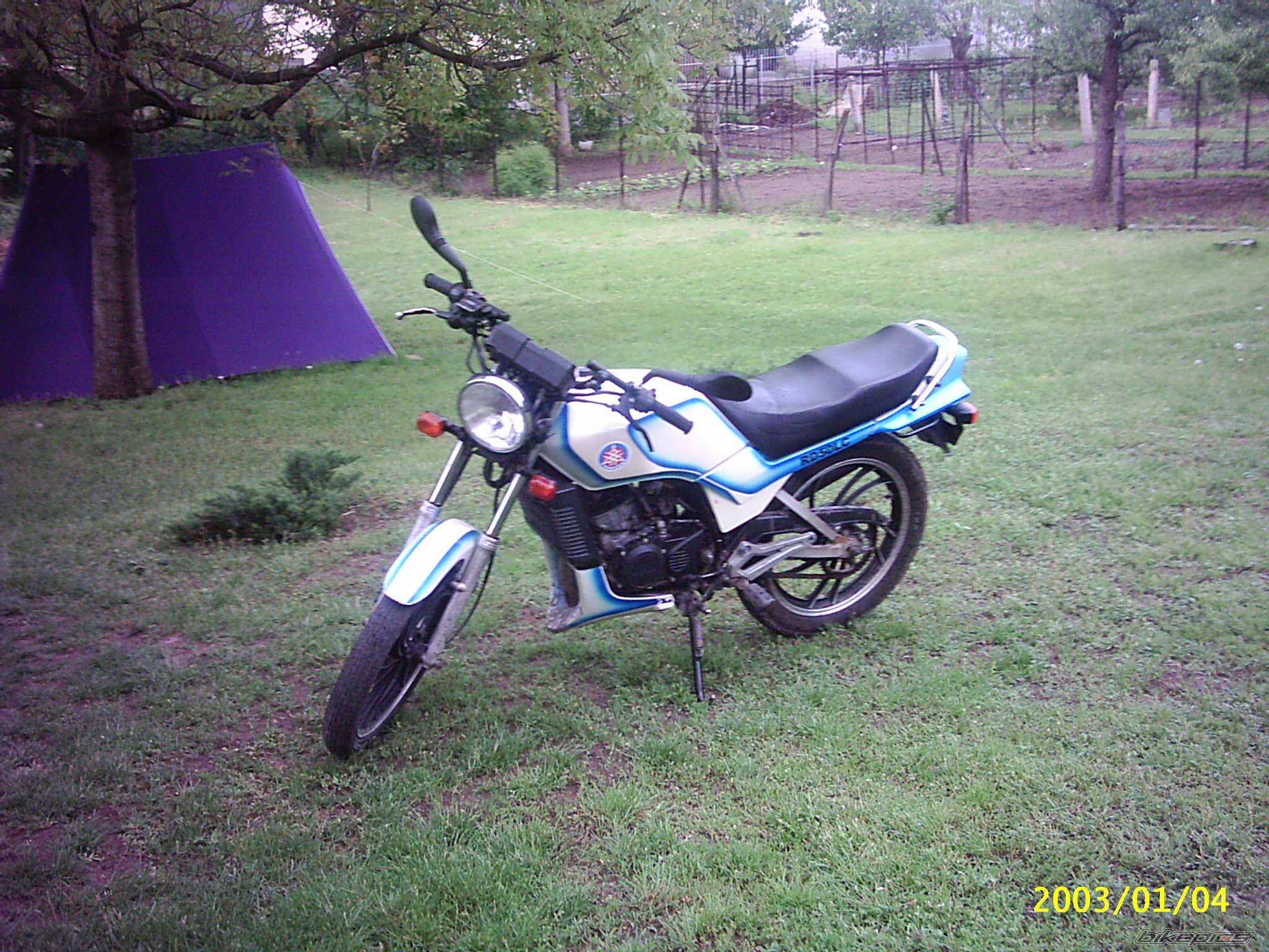 Photo 191182