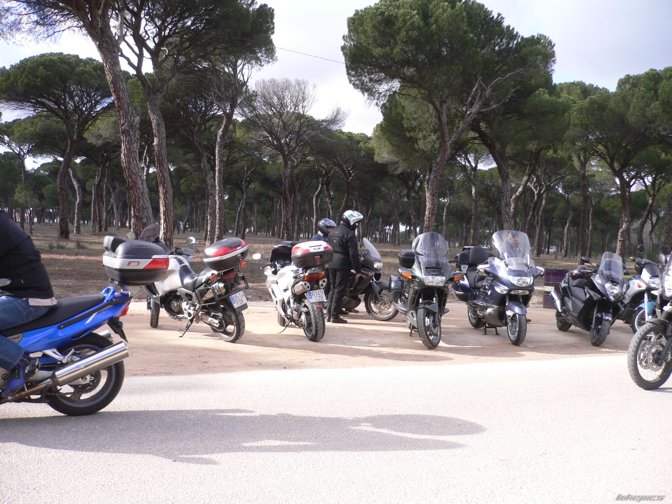 Bike Photo 1912439