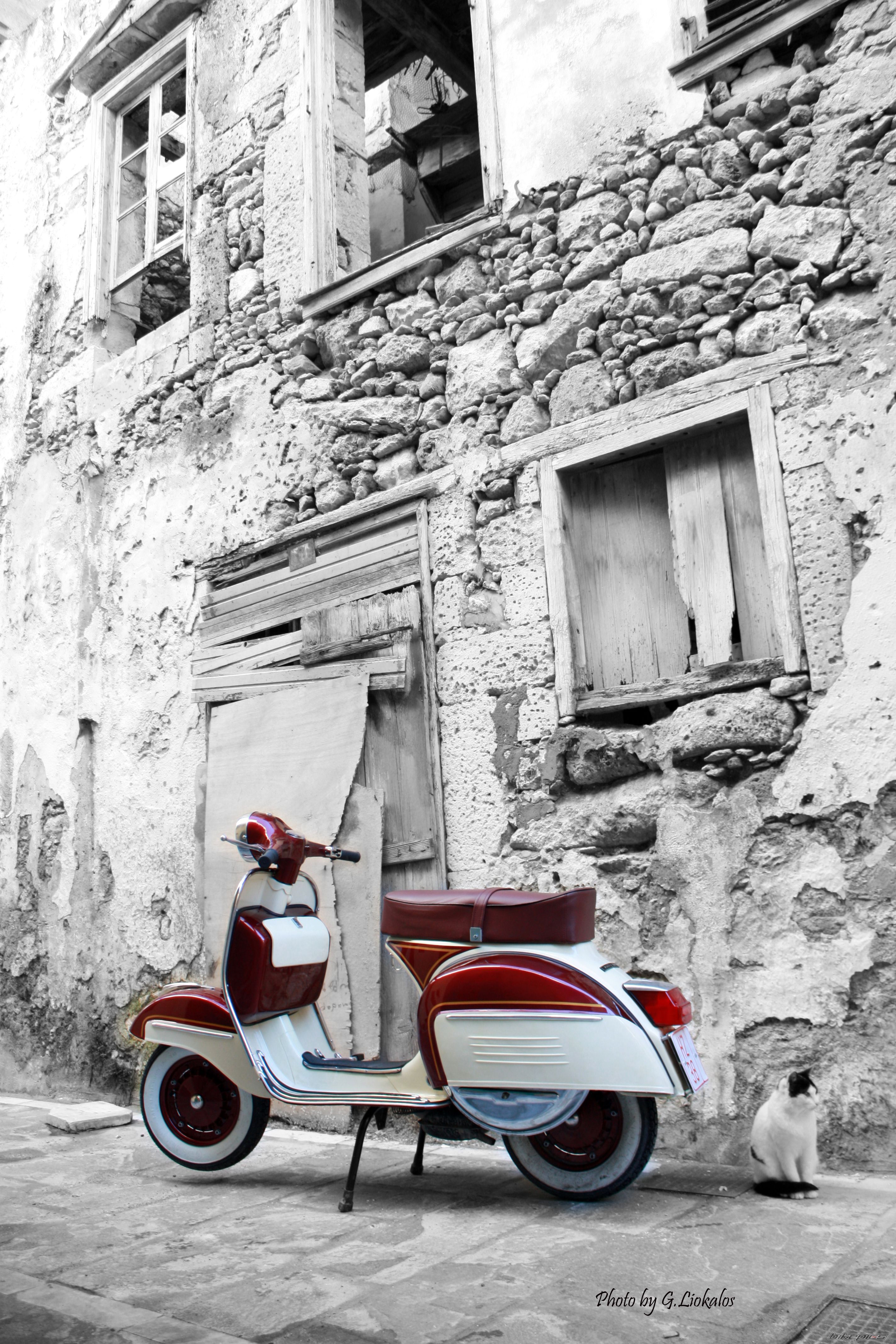 Bike Photo 1912505