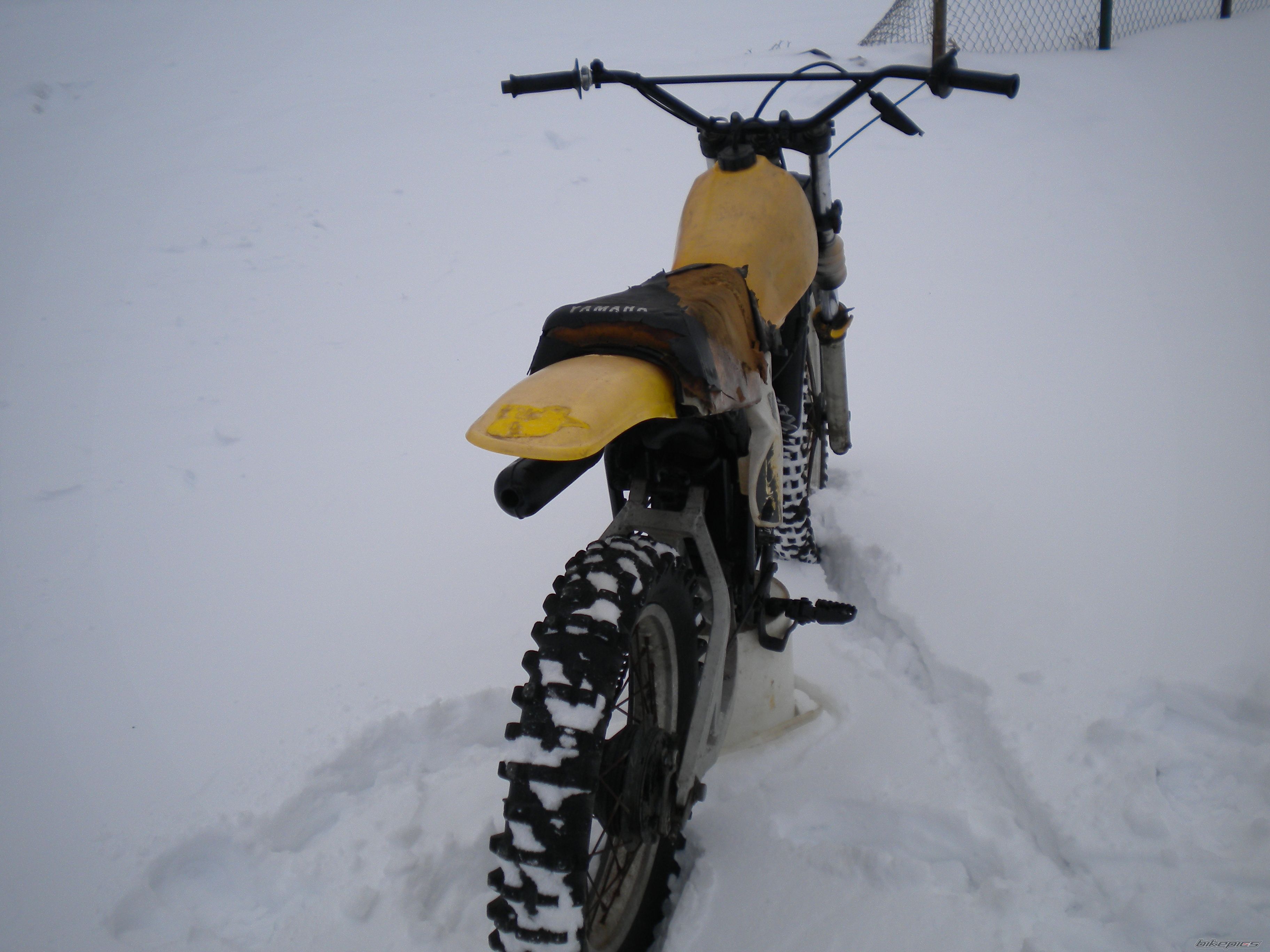 Photo 1912553