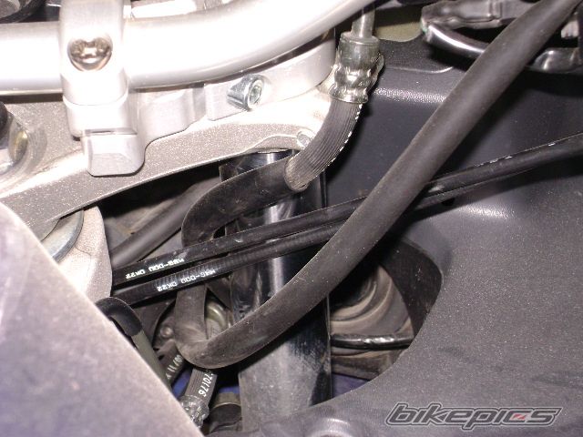 Photo 1912560