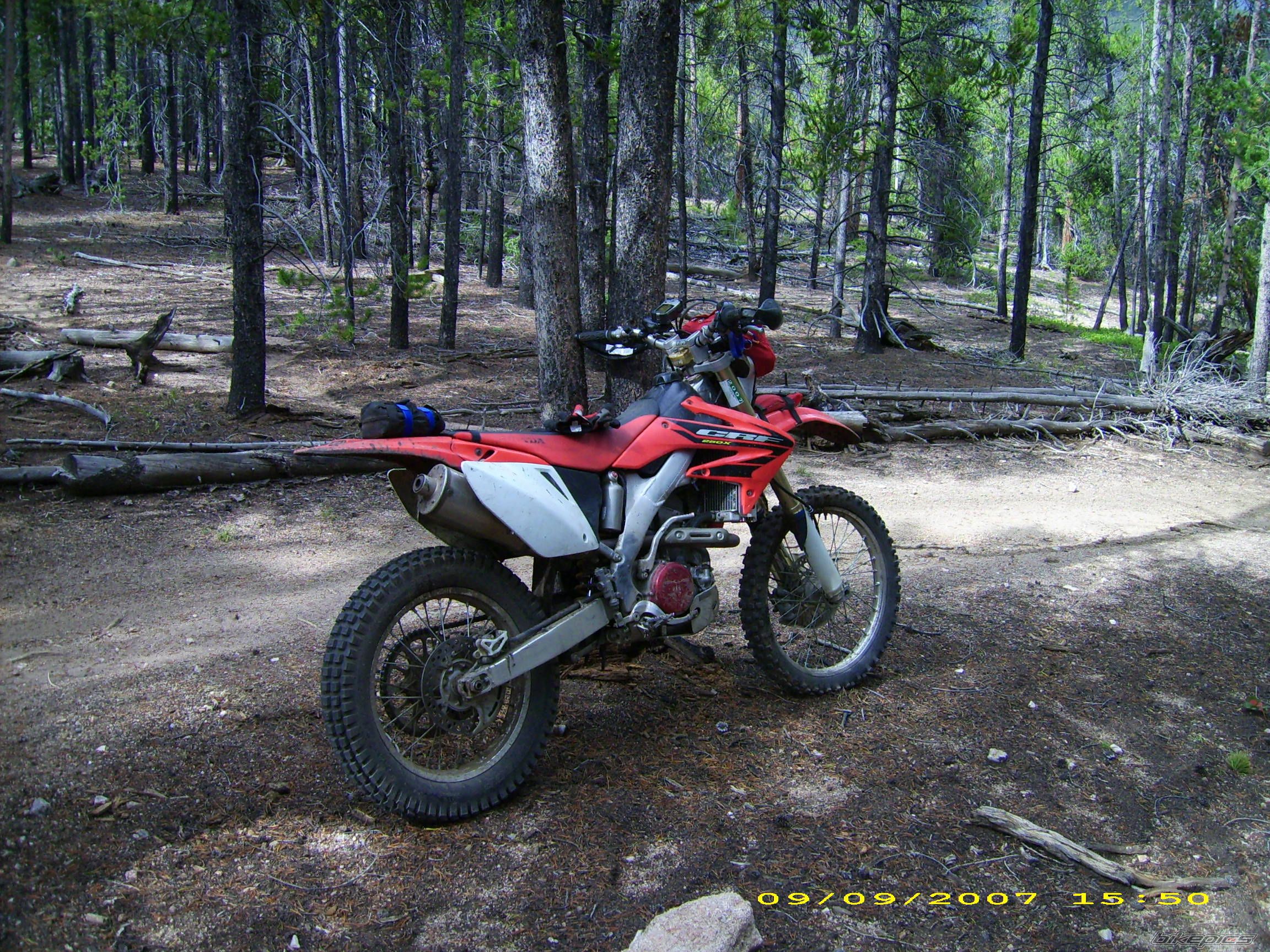Photo 1912640