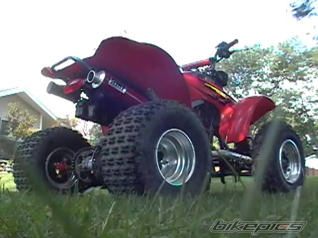Photo 191305