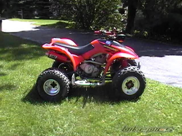 Photo 191306